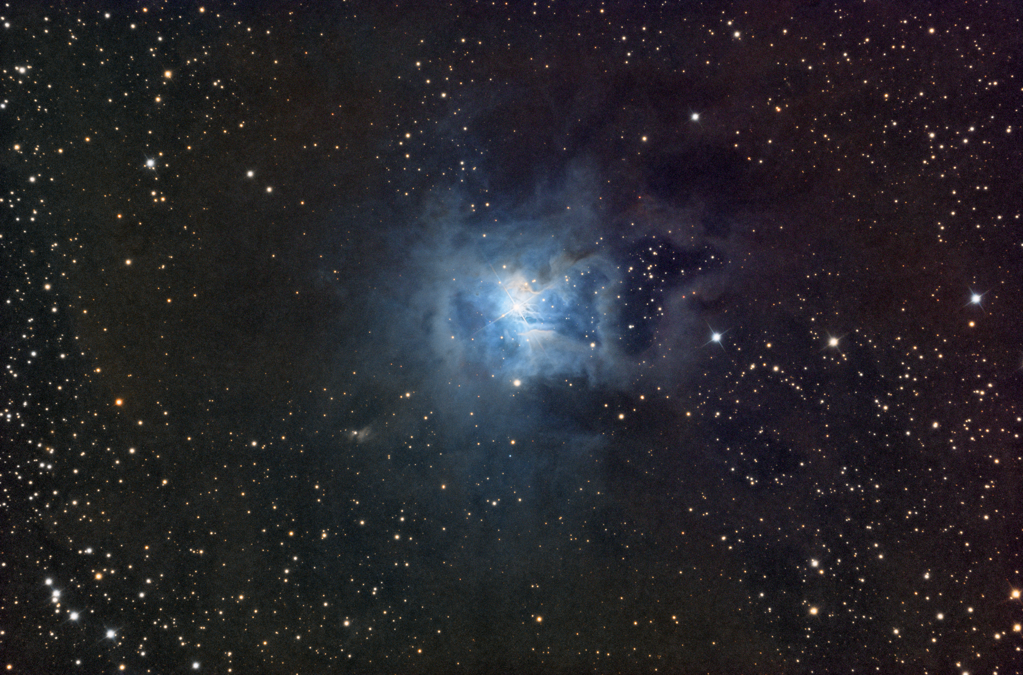 NGC 7023 The Iris Nebula