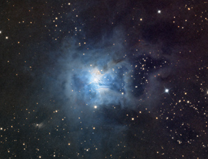 NGC7023 The Iris Nebula Full Crop