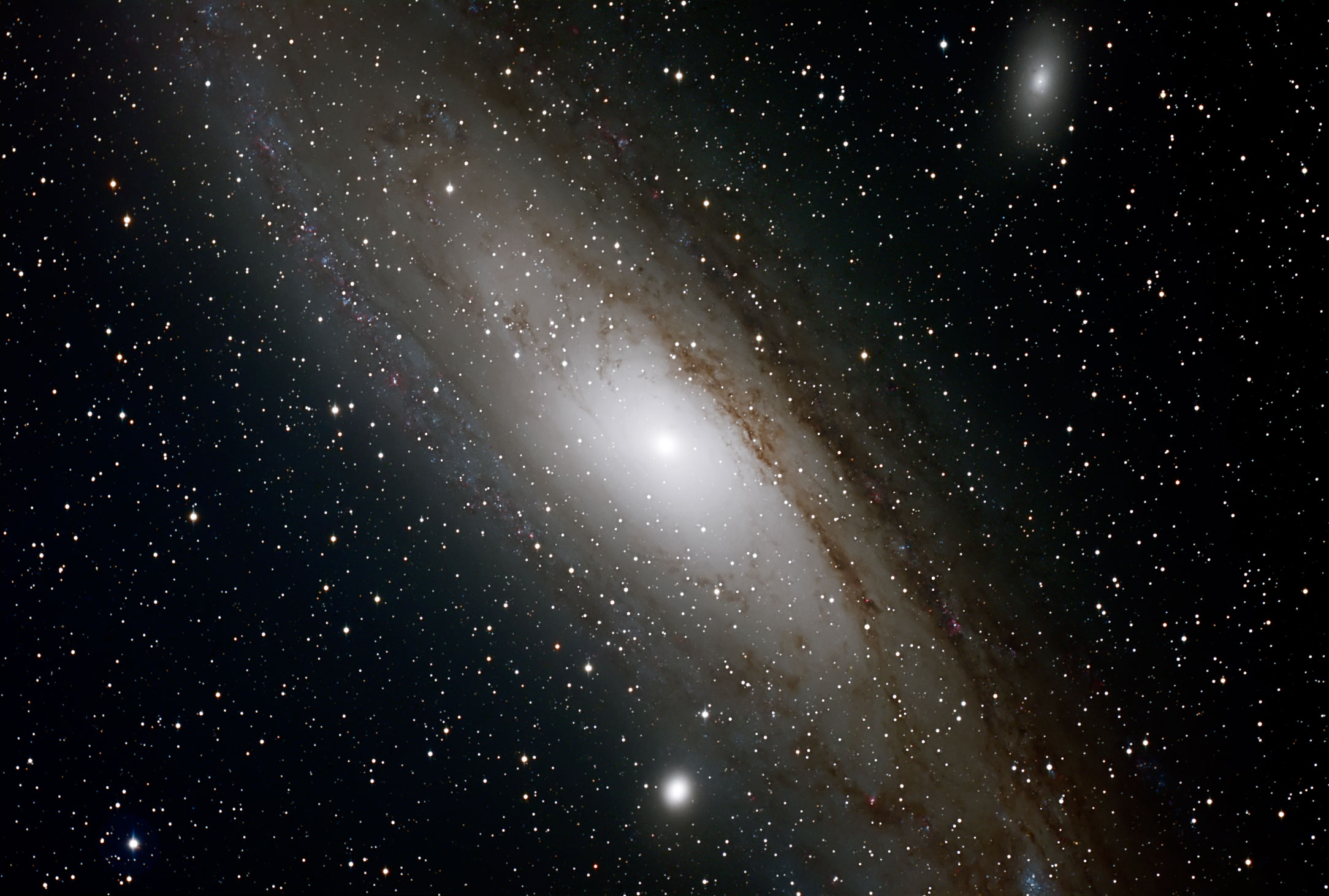 m31 digikala