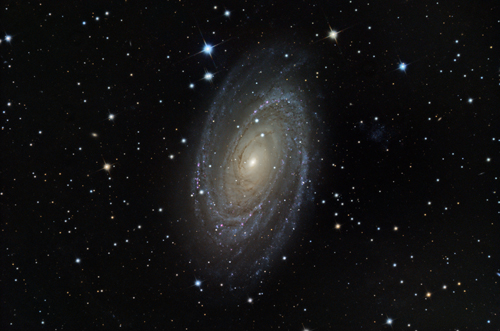 M81/NGC3031