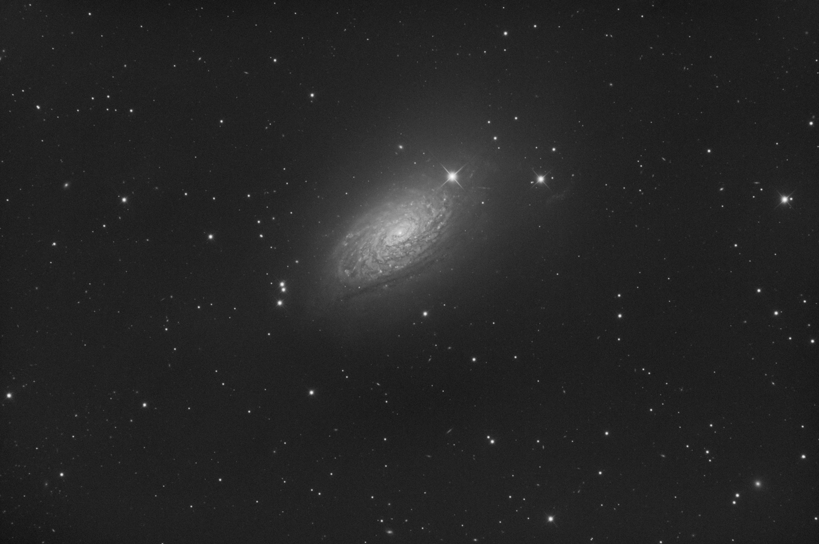 M63/NGC5055