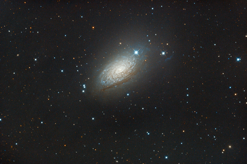 M63/NGC5055