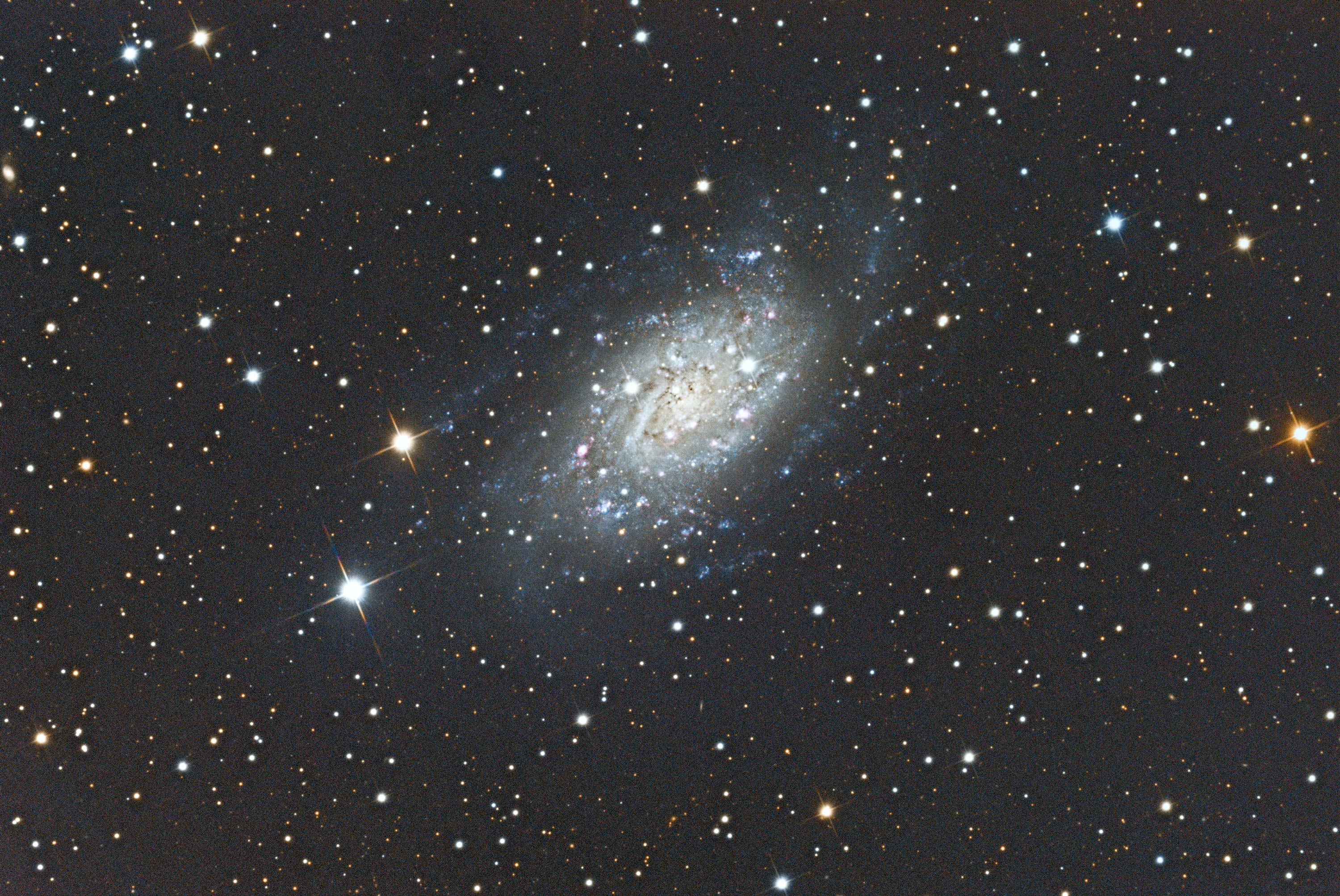 NGC2403