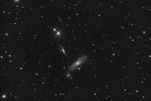 NGC5566 Luminance