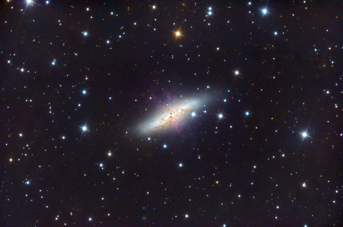 M82 with SuperNova 2014J