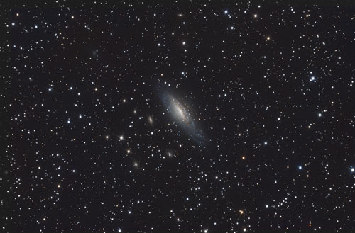 NGC7331